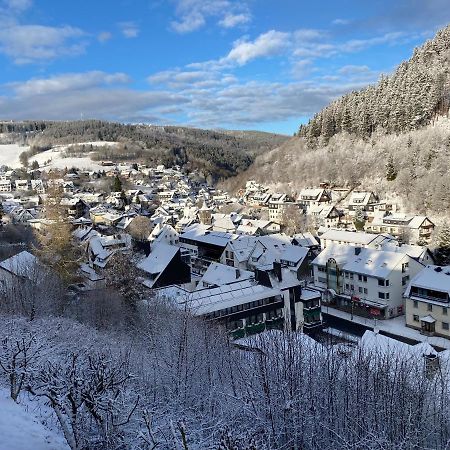 Landhaus Muehlenberg Willingen  Exteriör bild