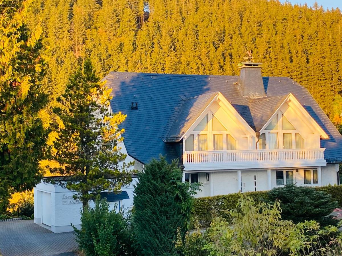 Landhaus Muehlenberg Willingen  Exteriör bild