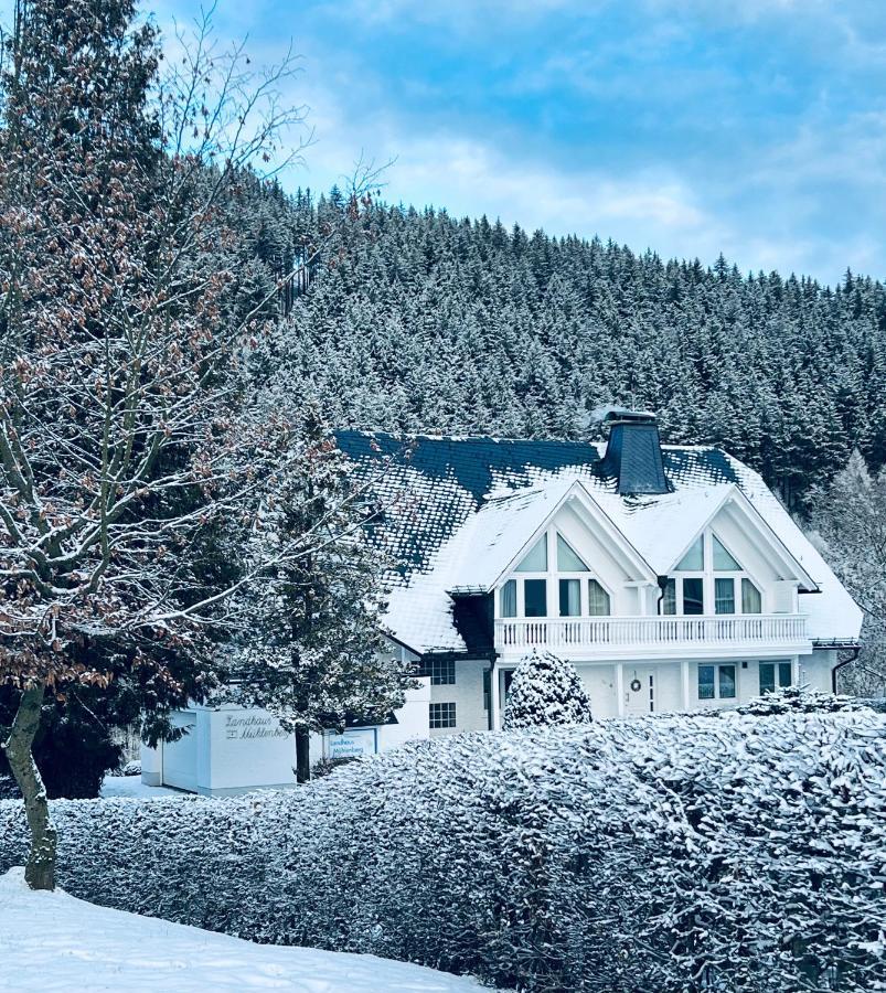 Landhaus Muehlenberg Willingen  Exteriör bild